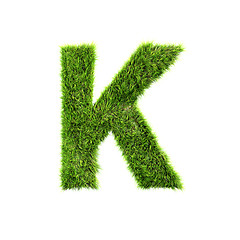 Image showing Grass letter