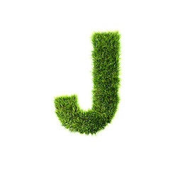 Image showing Grass letter