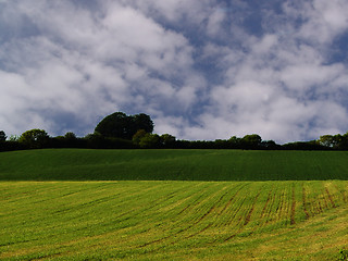 Image showing Field