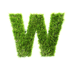 Image showing Grass letter