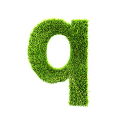 Image showing grass lower-case letter