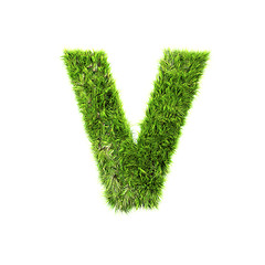 Image showing Grass letter