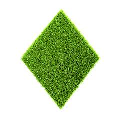 Image showing grass diamond