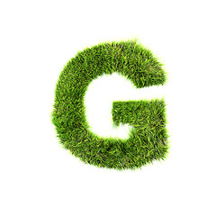 Image showing Grass letter