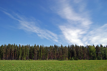 Image showing Field, Forest and Sky Landscape