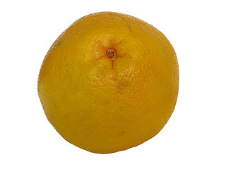 Image showing grapefruit