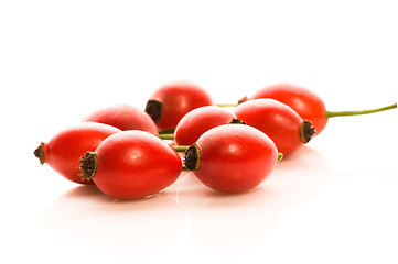 Image showing rose hips isolated on the white