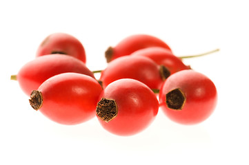 Image showing rose hips isolated on the white