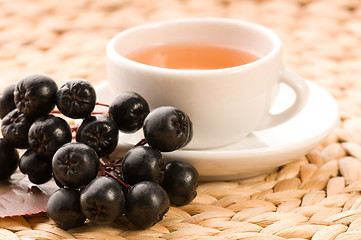 Image showing Black chokeberry tea