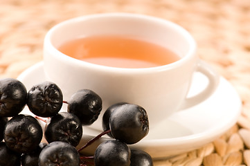 Image showing Black chokeberry tea 