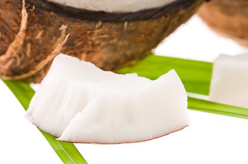 Image showing coconut