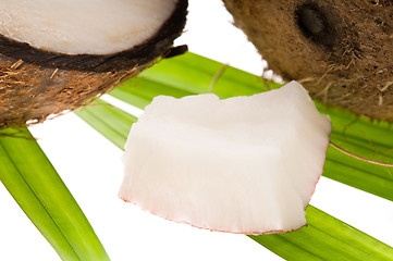 Image showing coconut