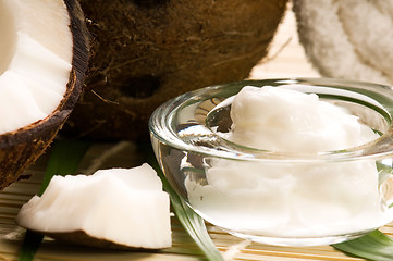 Image showing Coconut and coconut oil