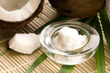 Image showing Coconut and coconut oil