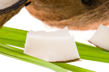 Image showing coconut on a white background