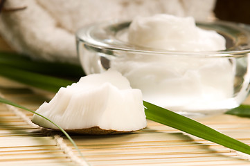 Image showing Coconut and coconut oil 