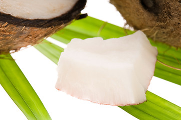 Image showing Coconut and coconut oil 