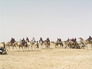 Image showing sahara and caravan