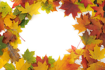 Image showing color autumn leaves as frame