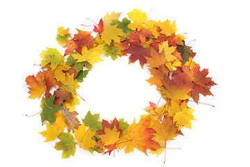 Image showing color autumn leaves as frame