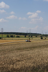 Image showing golden corn and open country