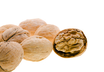 Image showing 	Walnuts