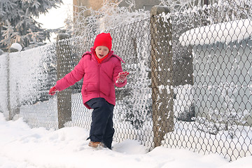 Image showing Near the fence