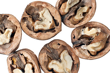 Image showing Walnuts in closeup 