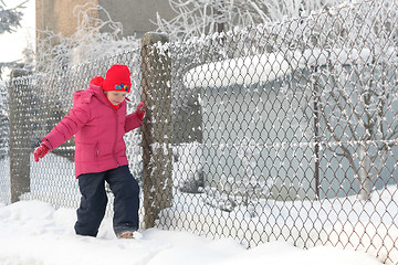 Image showing Near the fence