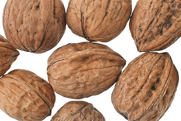 Image showing Walnuts in closeup 