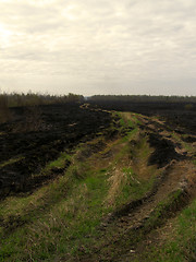 Image showing Grassland Fire