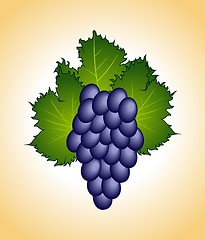 Image showing clous-up purple grape isolated