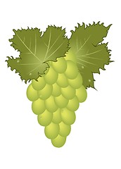 Image showing clous-up green grape isolated