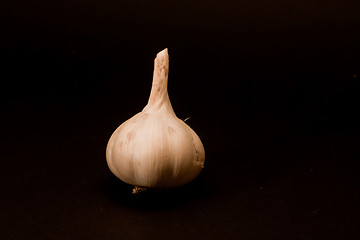 Image showing garlic