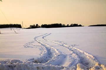 Image showing Traces on snow