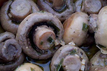 Image showing Mushroom tapas macro