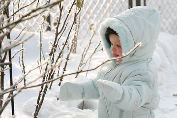 Image showing Little Eskimo