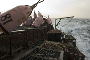 Image showing lobster Equipment
