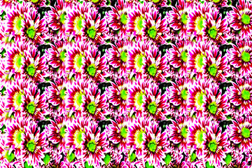 Image showing floral background