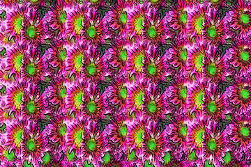 Image showing floral background