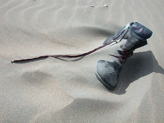 Image showing Desert Shoe