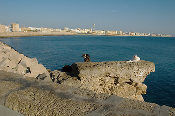 Image showing Cadiz (Spain) view