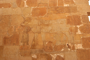 Image showing Temple of Hatshepsut