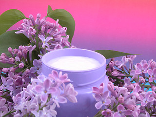 Image showing body cream