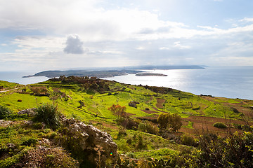 Image showing Landscape in Gozo Island, Malta