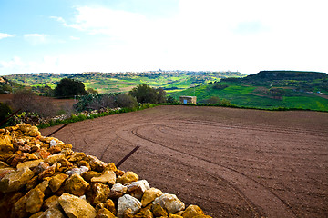 Image showing Landscape in Gozo Island, Malta