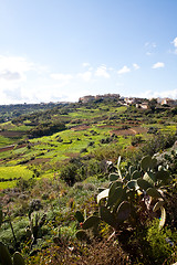 Image showing Landscape in Gozo Island, Malta