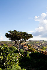 Image showing Beautiful landscape in Gozo Island, Malta