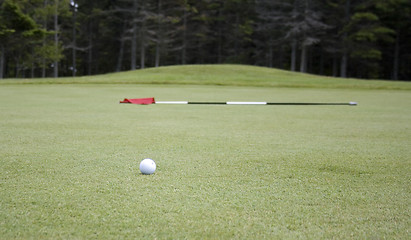 Image showing Golf Flag and Ball