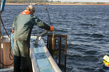 Image showing Fisherman at work